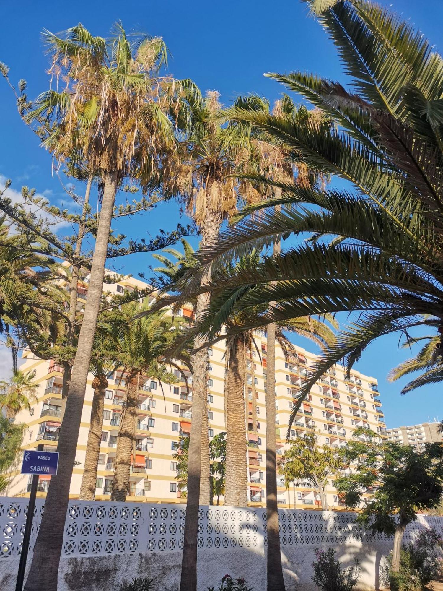 Los Cristianos Achacay Appartement Standing Vue Panoramique المظهر الخارجي الصورة